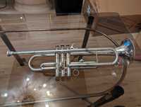Труба Antoine Courtois