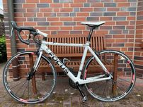 Rower szosowy / kolarzówka Focus Cayo Carbon M 54