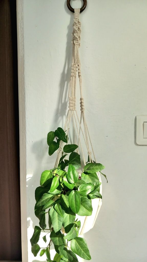 Suporte de plantas em macrame