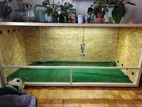 Bardzo duże terrarium