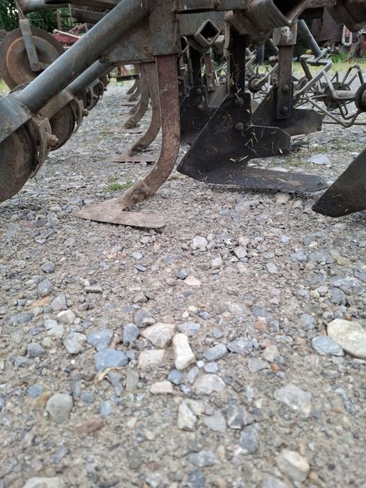 Wielorak planetka pielnik