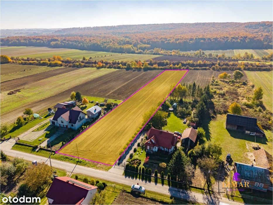 Działka Z Potencjałem W Przysiece! 5582 m²