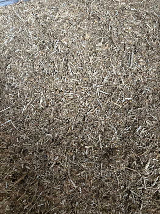 Suchy TMR dla cieląt