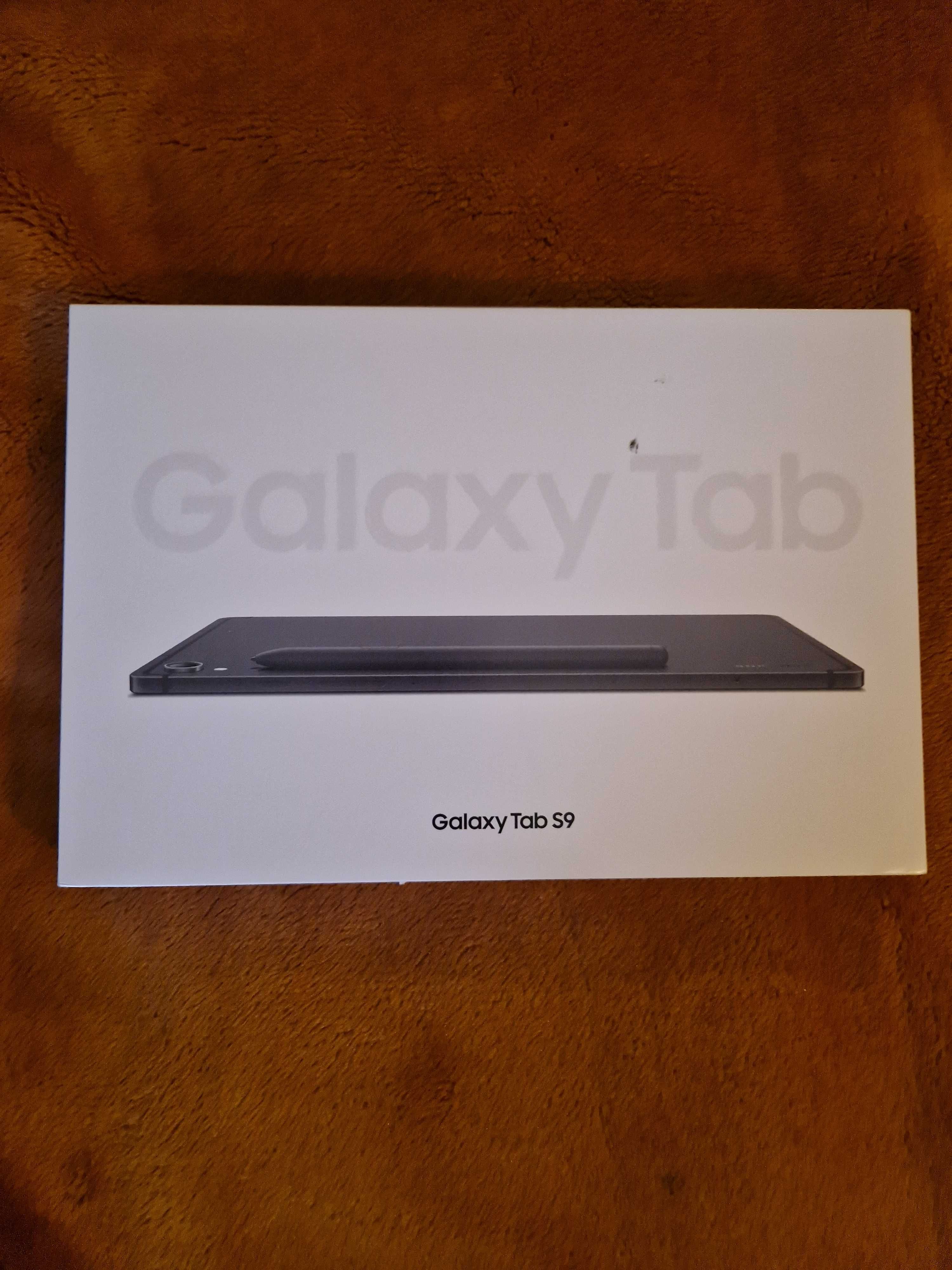 Планшет Samsung Galaxy Tab S9 WIFI,8/128 GB