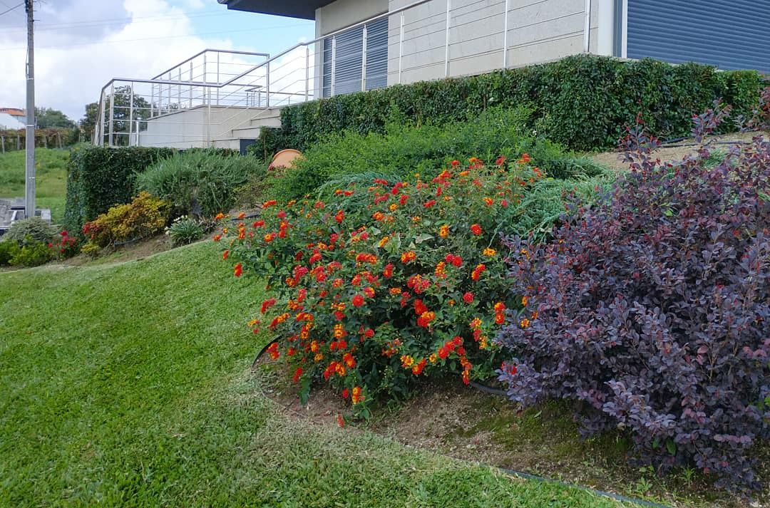 Jardinagem e paisagismo