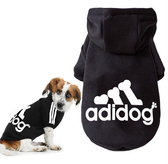 Bluza z kapturem dla psa  komfort i styl na spacer M/L