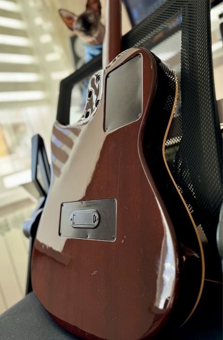 Электро-акустична гітара Godin Multiac Steel (акустика-електро)