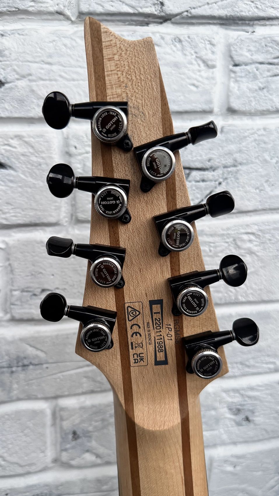 Ibanez RGMS8 модернізована