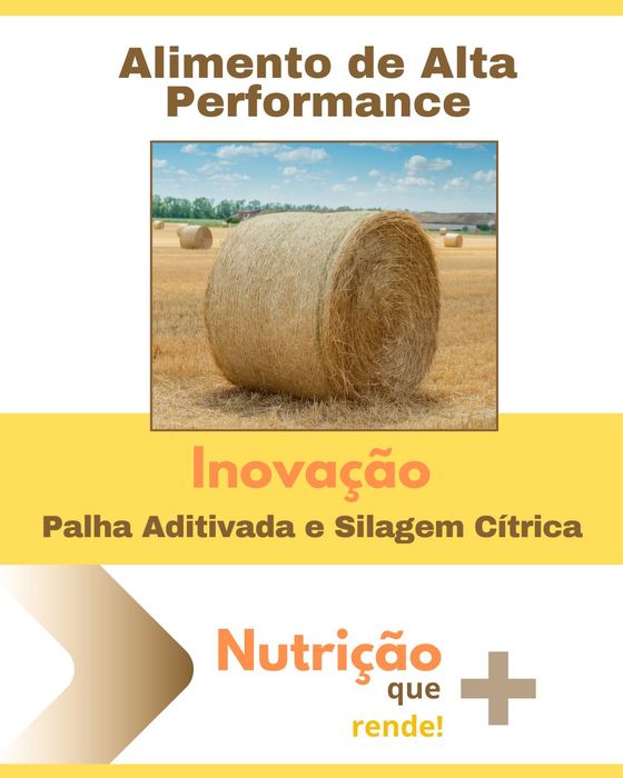 Fardos de Palha Aditivada e Mini Silagem Cítrica – Pré-Reserva