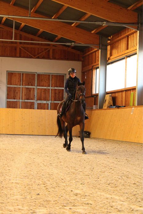 Wysoka klacz  (170cm) pelny TUV