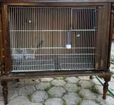Gaiola para pássaros