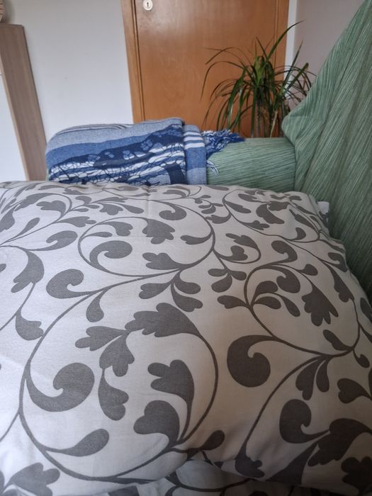 Almofadas, fronhas, mantas,e planta