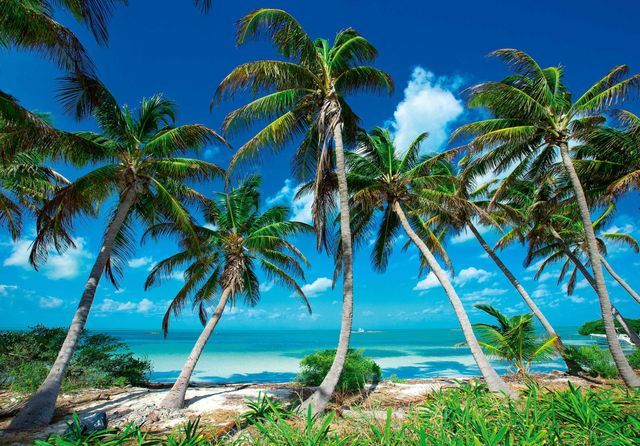 Fototapeta Plaża Palmy Natura Wakacje 3D Na Twój Własny Rozmiar + KLEJ