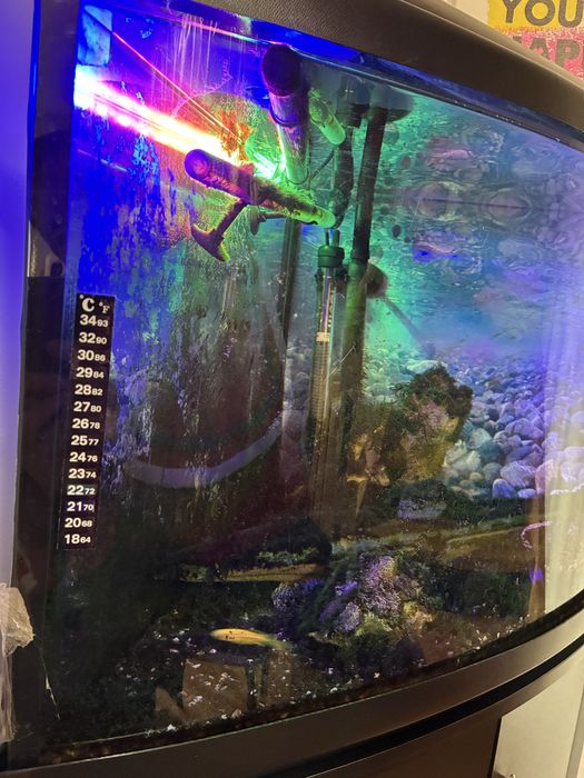 Функціонуючий акваріум