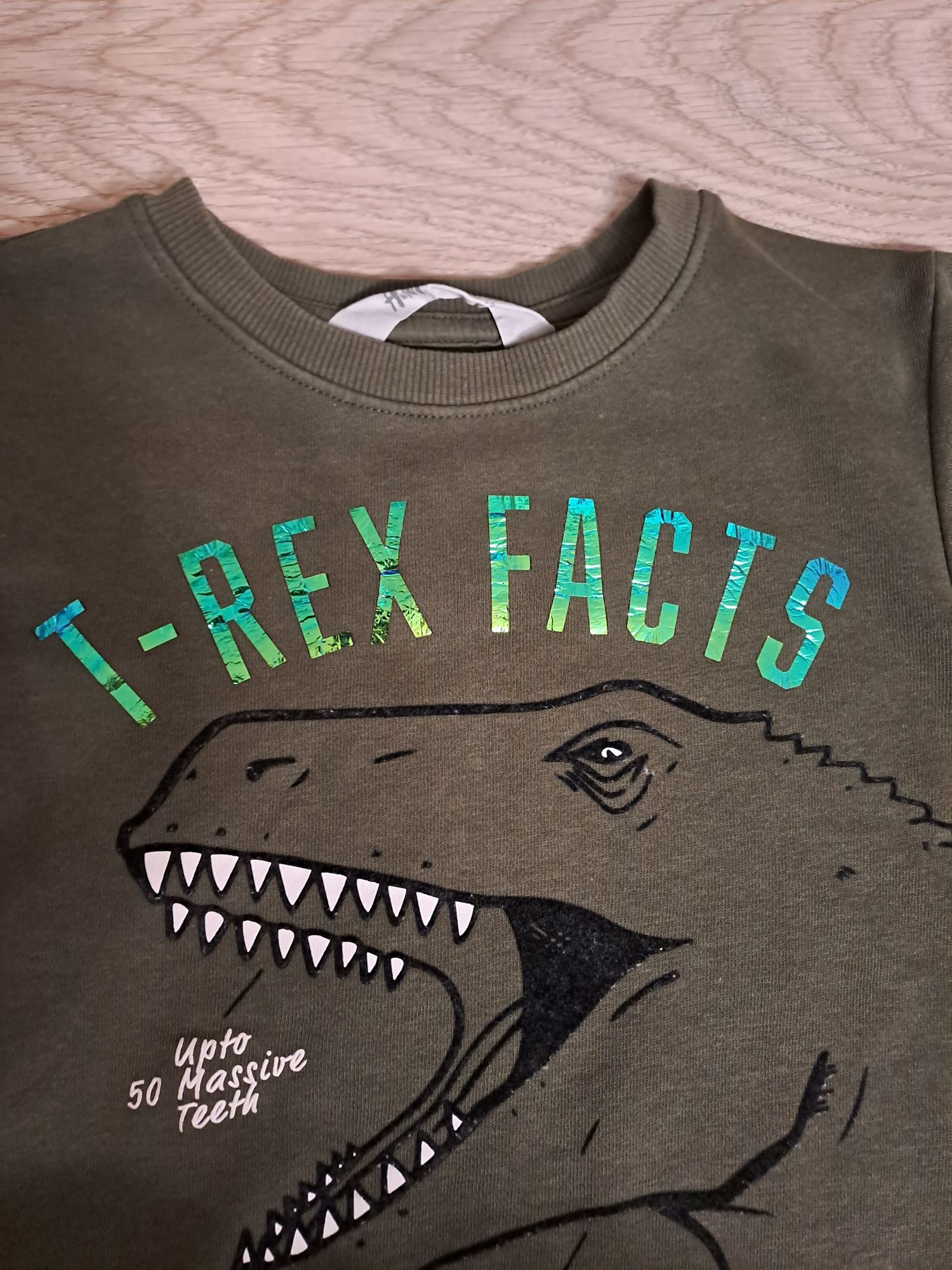 H&M bluza r. 110 116 chłopięca T-Rex jak nowa
