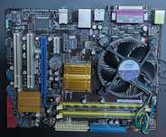 Płyta główna Asus P5QPL-AM