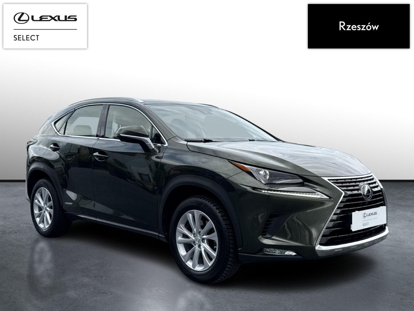 Lexus NX NX300h Business Edition | Piękna zieleń | FVAT 23%