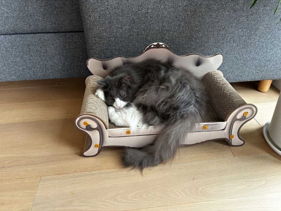 Drapak sofa dla kota legowisko kanapa do drapania zwierzęta kot