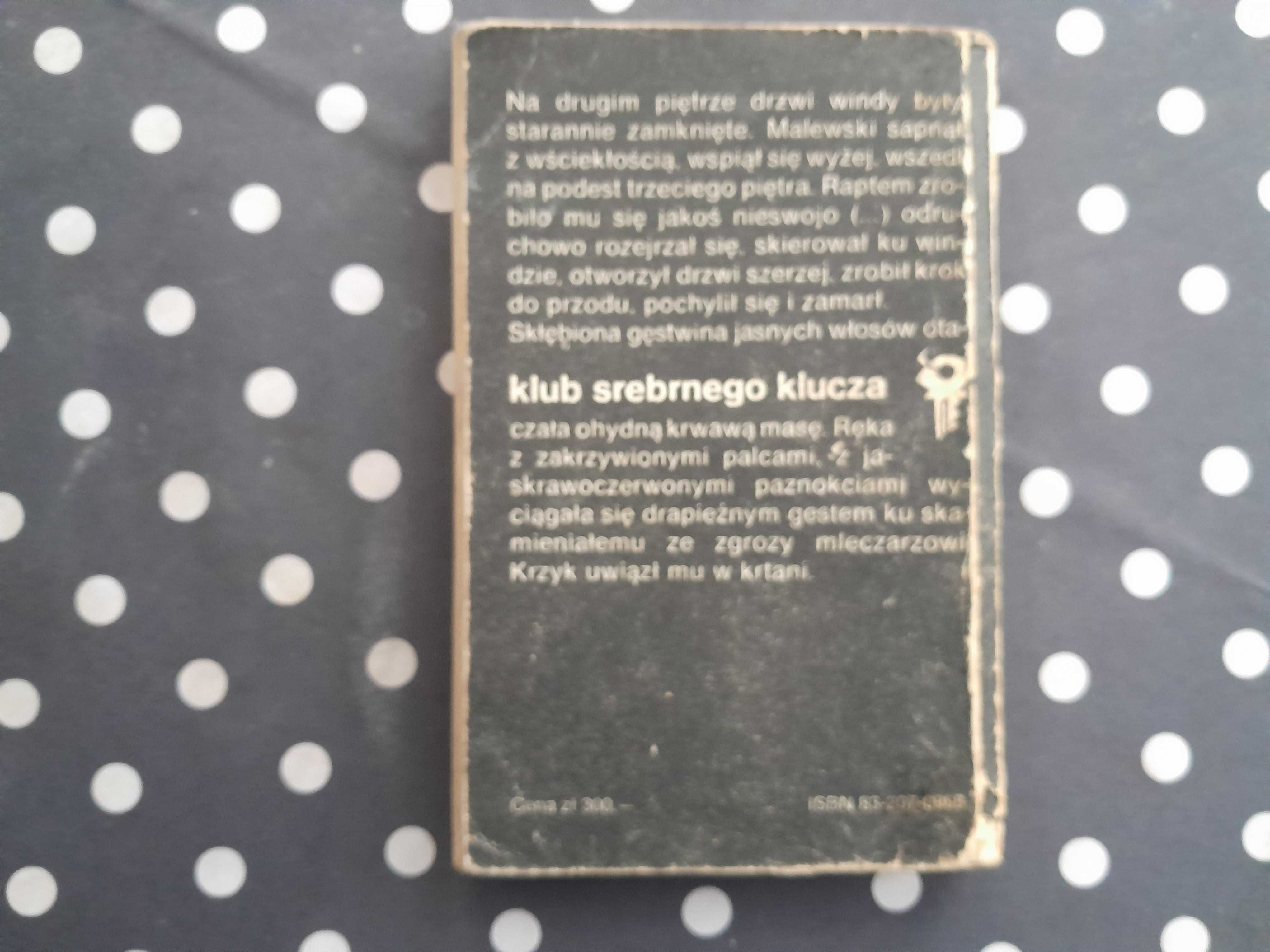 Śmierć zjechała windą Anna Śliwicka