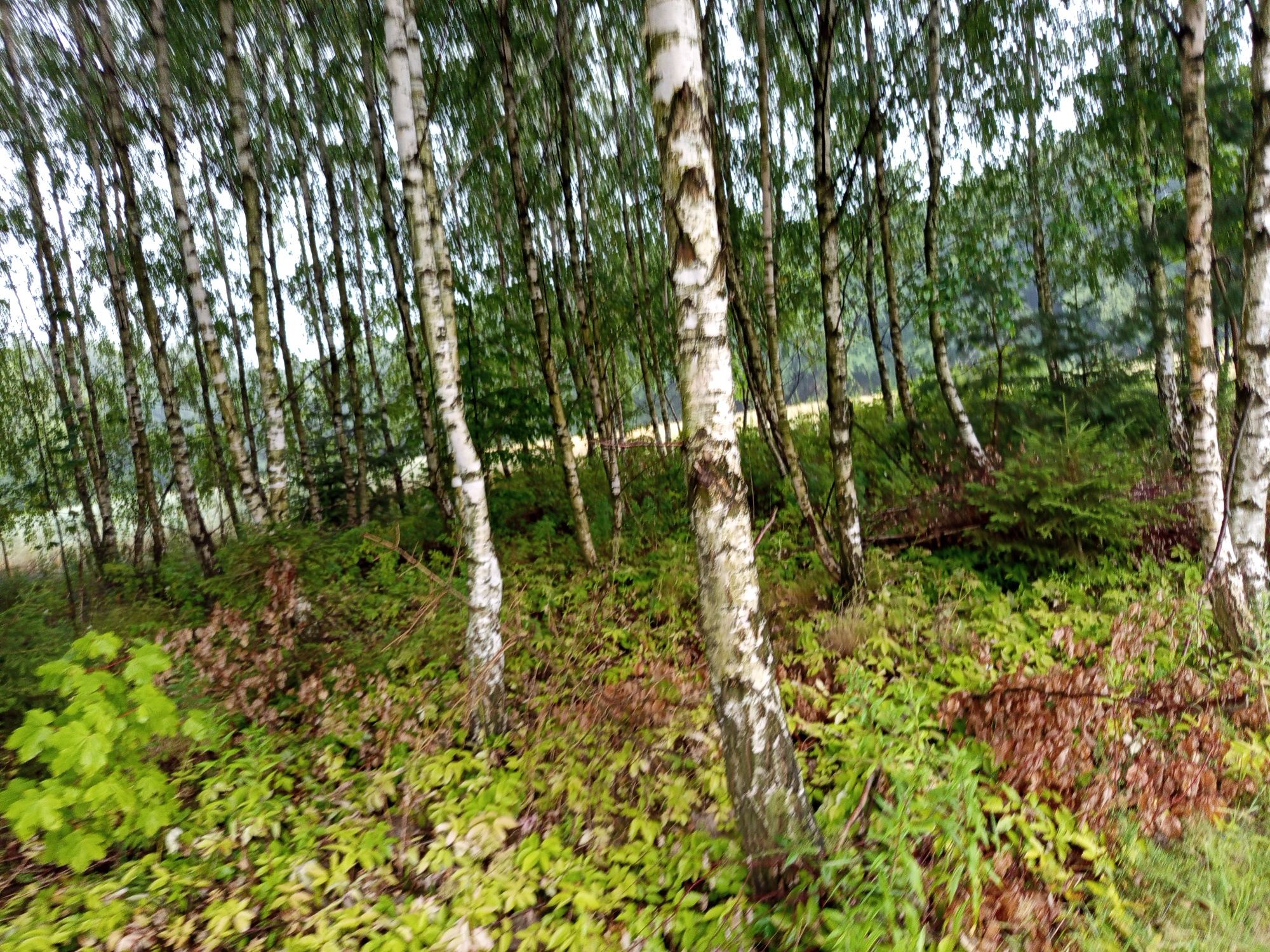 Sprzedam działkę rolną 2780m2.
