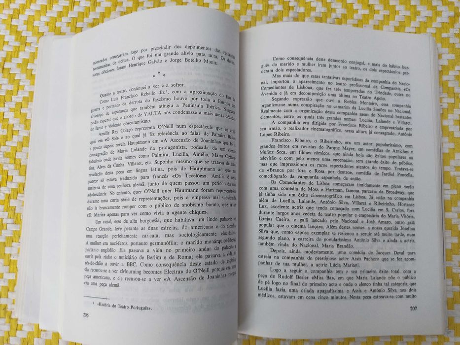 Uma casa com janelas para dentro - Costa Ferreira