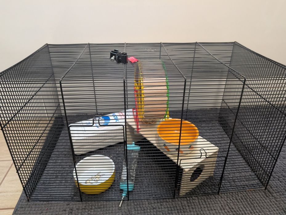 Dla chomika Świdnica/ Pszenno