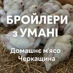 Тушка  бройлерів