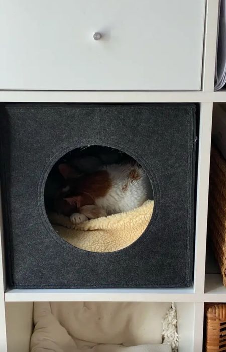Будиночок для кота підходить до каллакса ікеа