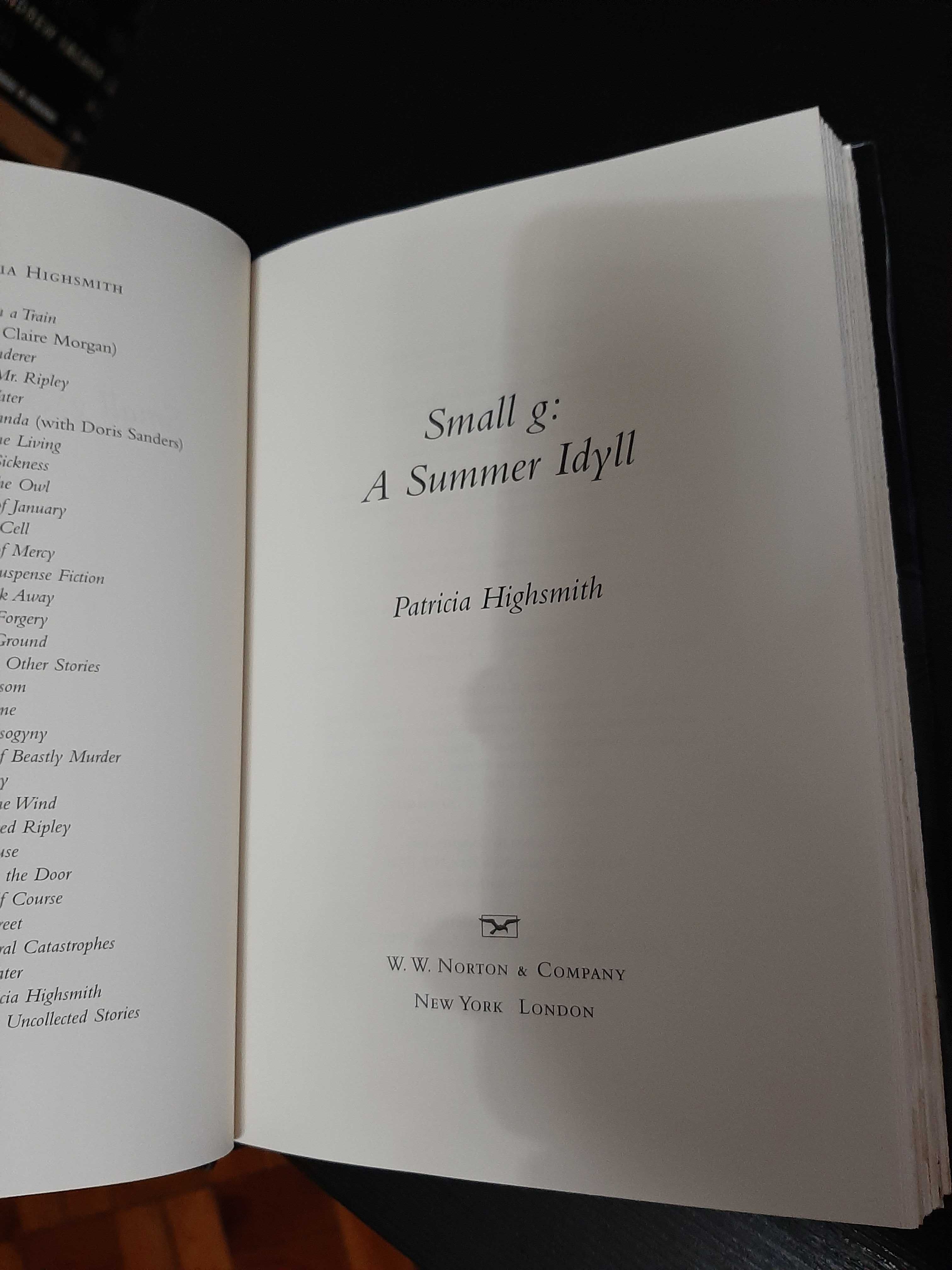 Patricia Highsmith – Small G: A Summer Idyll – Hardcover