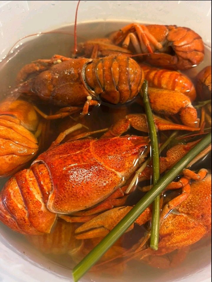 РАКИ Средние Варёные Чесная Цена