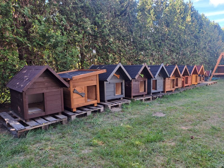 Budy dla Twojego pupila duży wybór. Zapraszamy