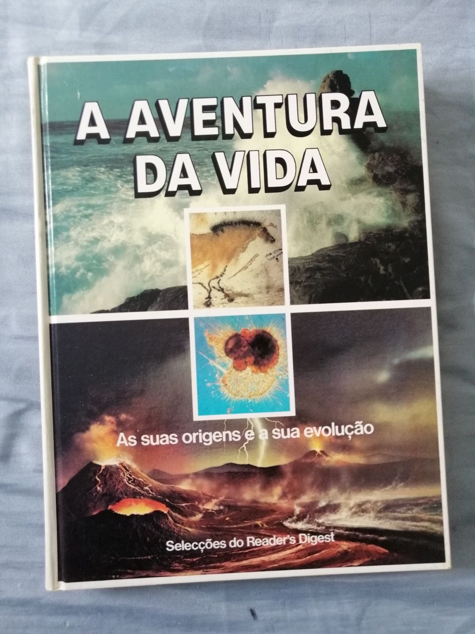 A Aventura Da Vida