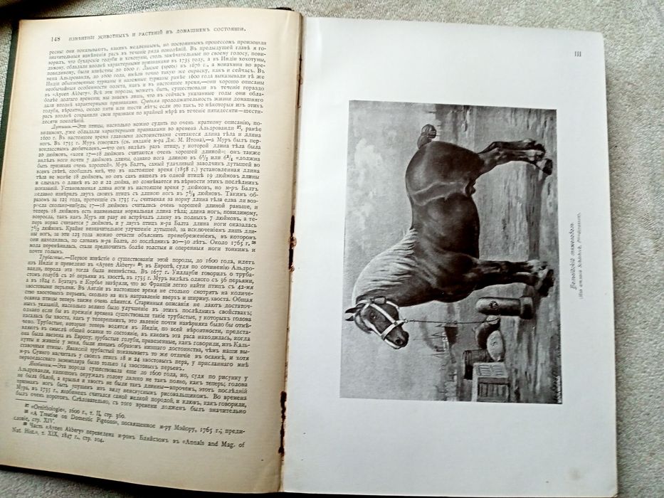 Иллюстрированное собрание сочинений Чарлза  Дарвина.  7 том