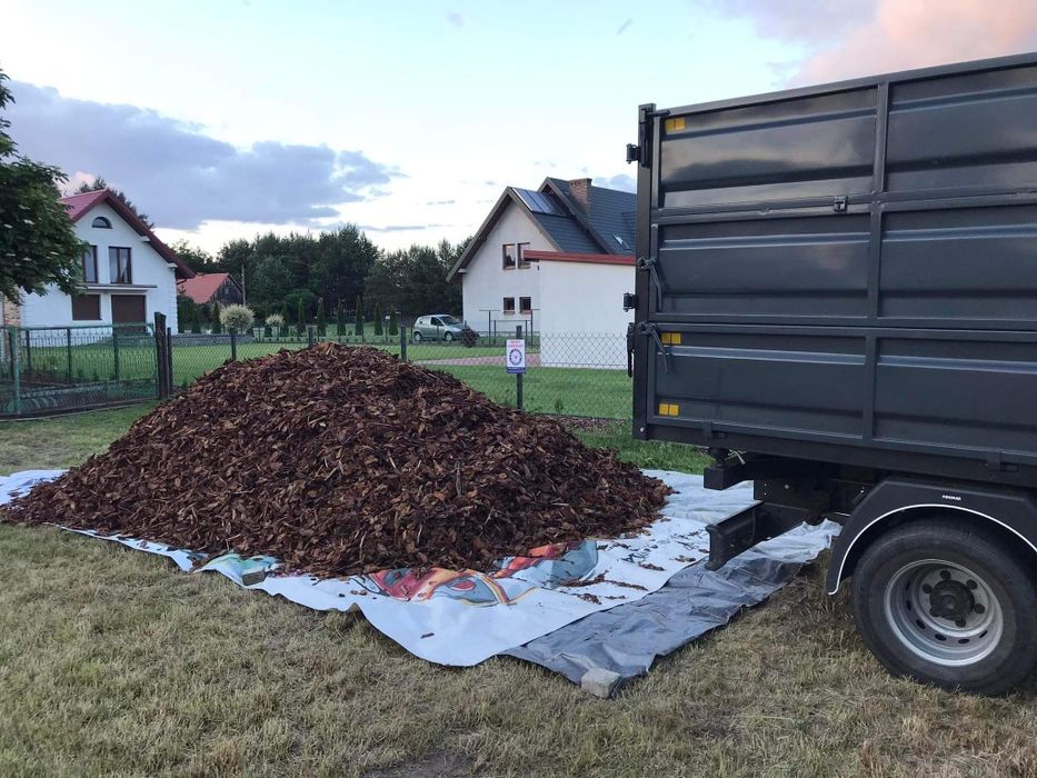 Kora sosnowa sortowana  luzem dostawą 10-15m3