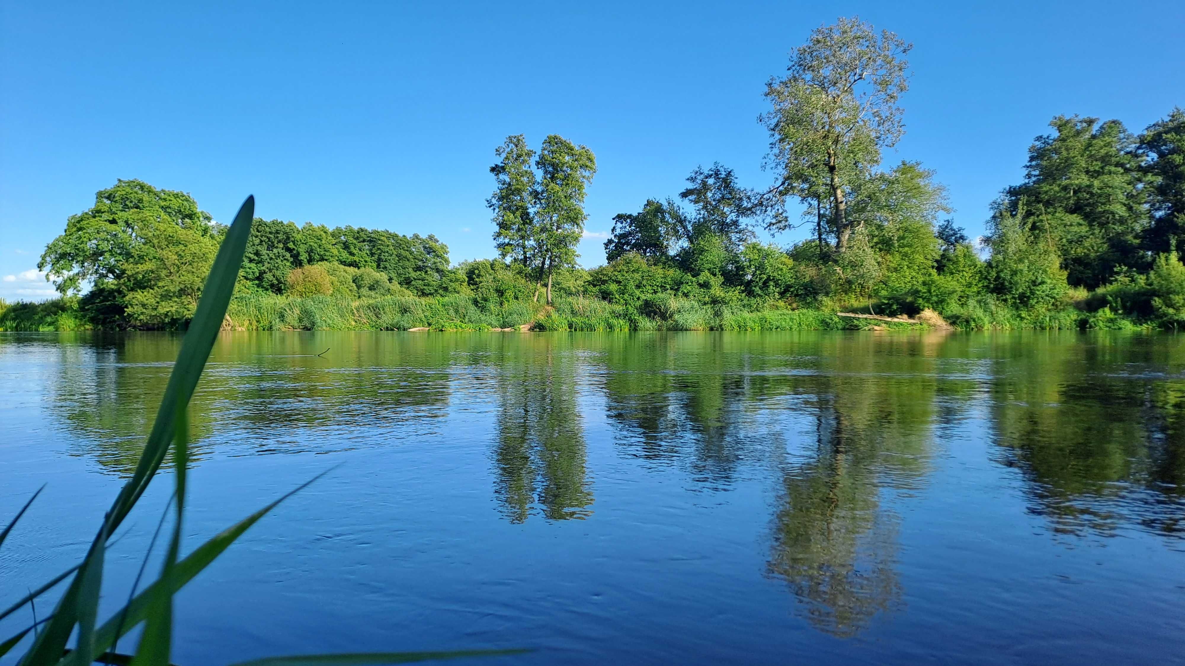 Agroturystyka, okolice W-wy,  domki letniskowe nad rzeką , kajaki