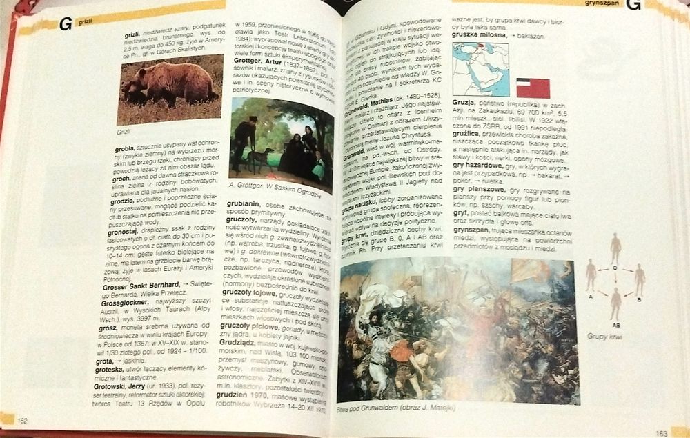 Podręczny ilustrowany leksykon ucznia