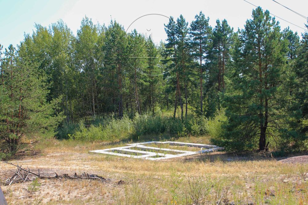 Продаж Ділянки 10 соток Гореничі Світло Ліс