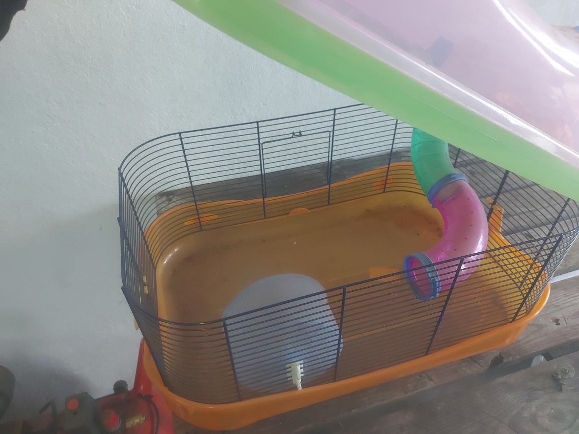 Vivenda para hamster