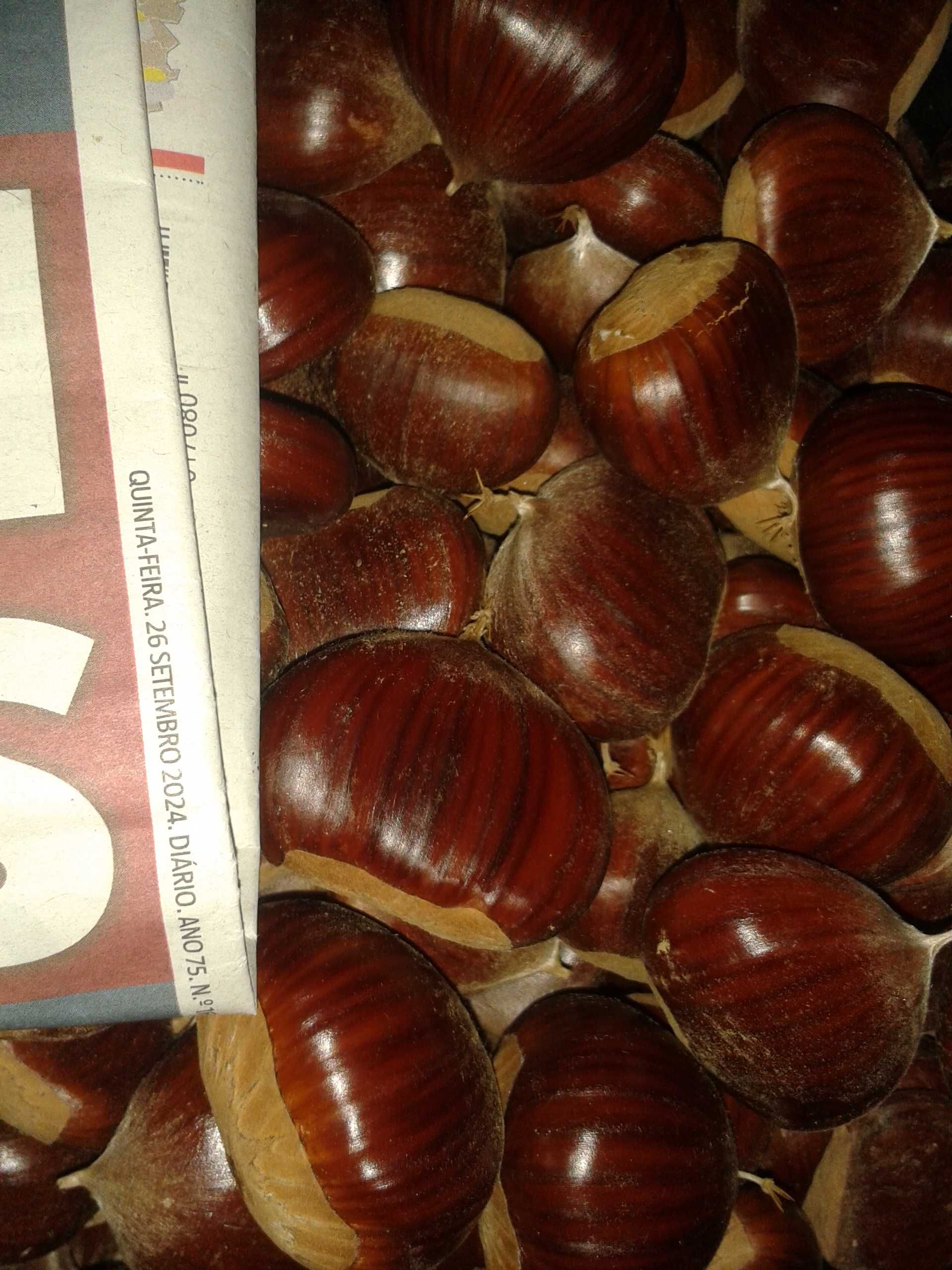 2.2Kg Castanhas 2024 Trás-os-Montes c/ Portes