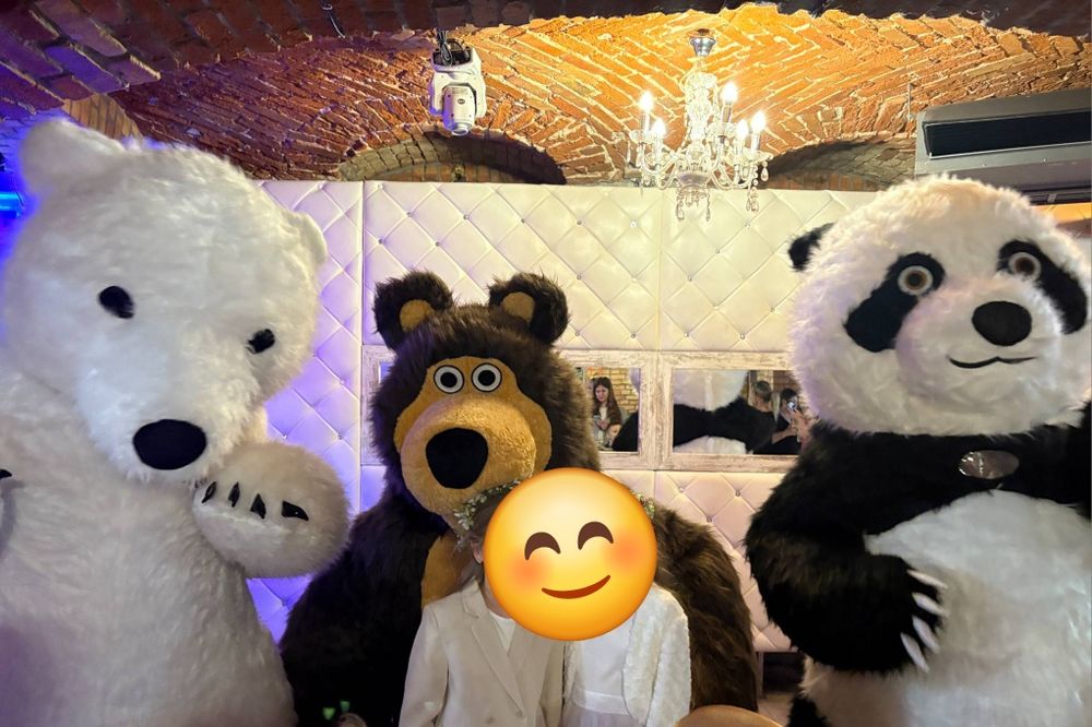 Miś Domiś, Miś Niko, Miś Panda do wynajęcia na każdą okazję.