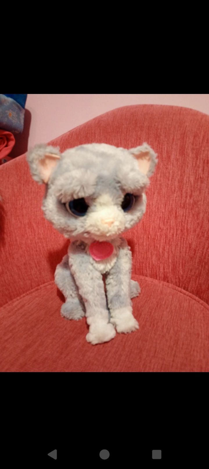Kotek Bootsie Furreal