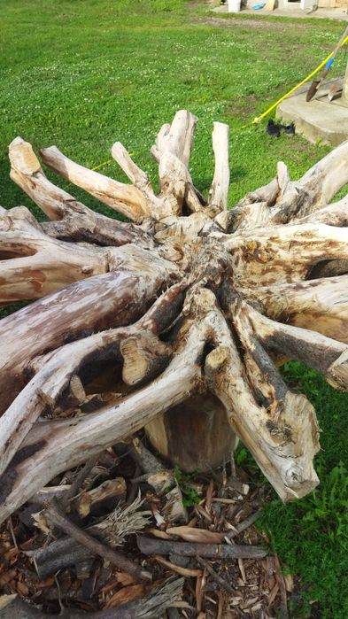 Стіл дерев'яний  з кореня