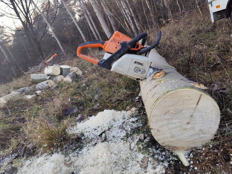 Cięcie drewna, koszenie, przycinanie drzew i krzewów