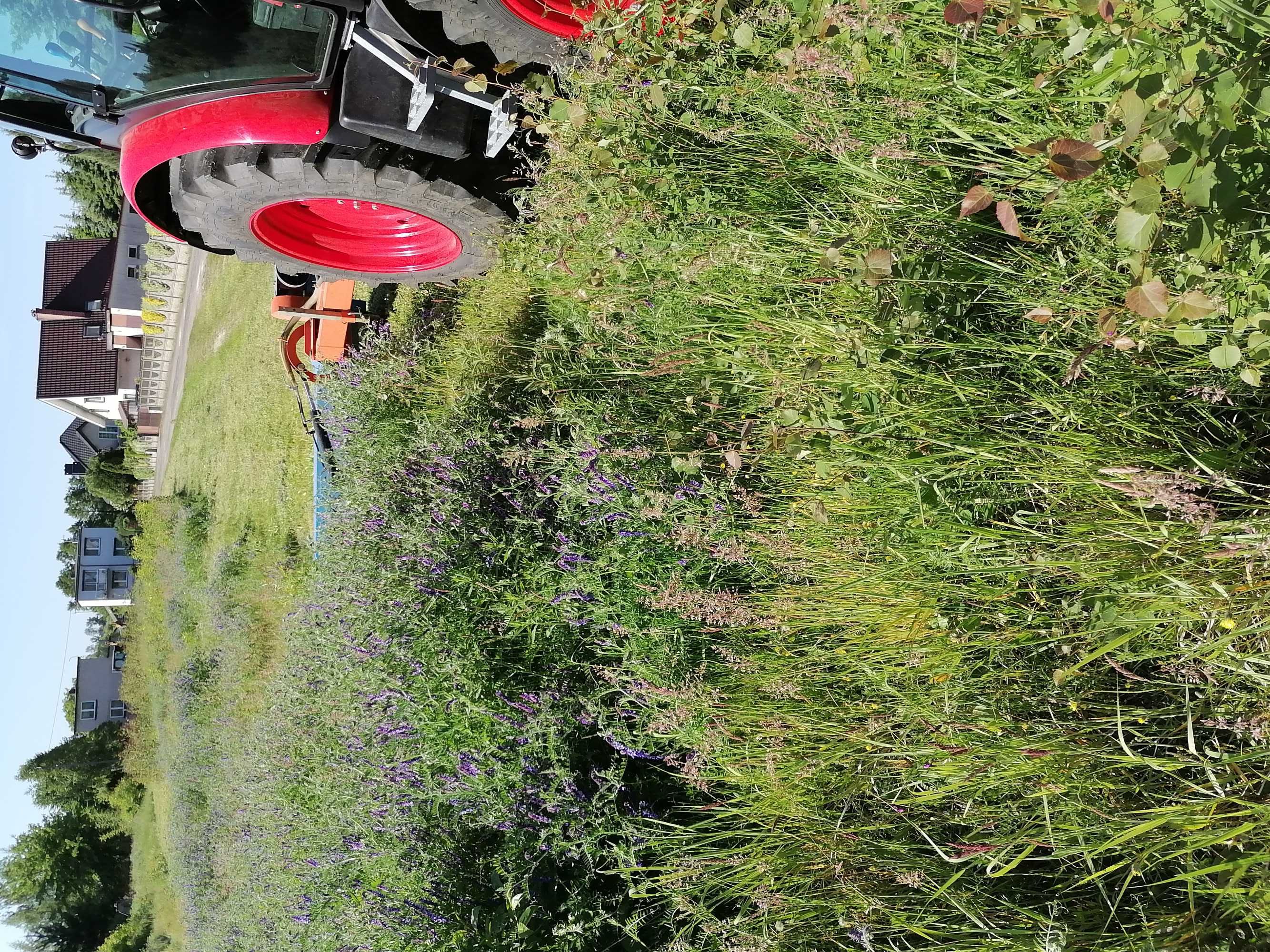 Kosiarka mulczer koszenie traw działek karczowanie wycinka drzew
