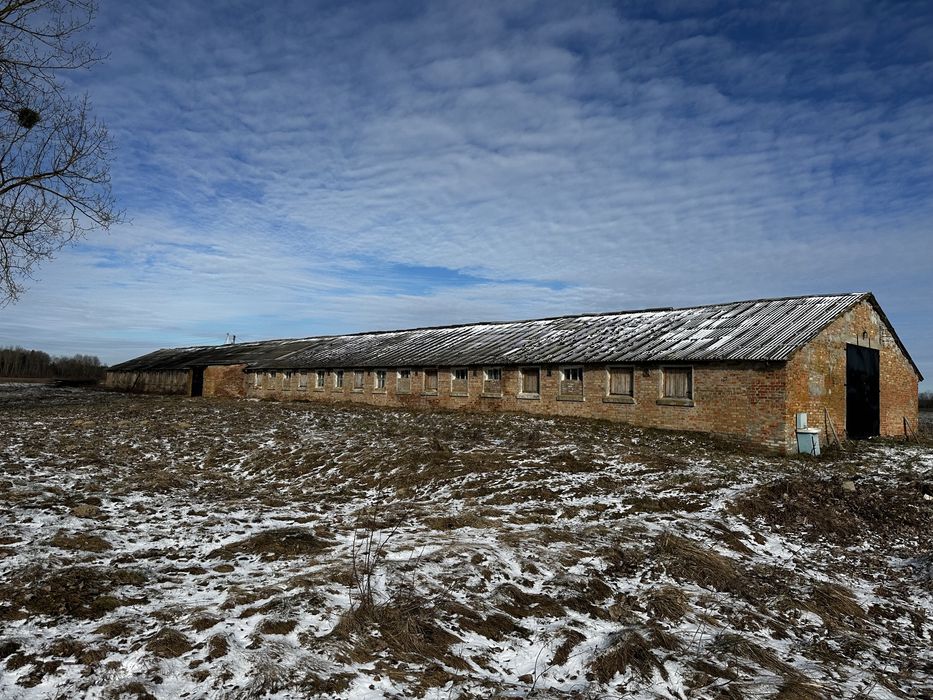 Оренда нежитлового (комерційного) приміщення. Свинокомплекс