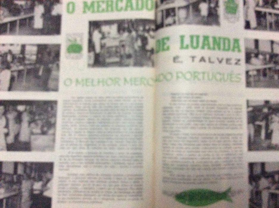 Revista de Angola , quinzenário ilustrado. Fevereiro de 1961