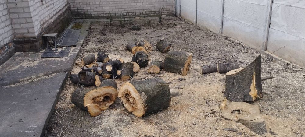 Уборка участка,дробление веток,спил деревьев,корчевка ,покос травы