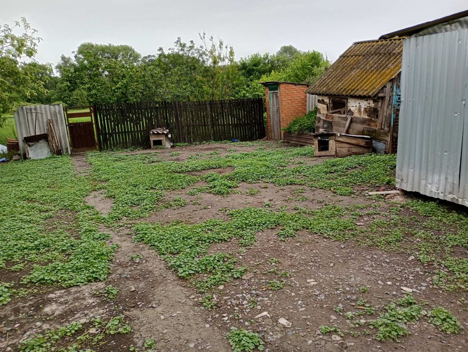 Продається будинок село Петрівка Берестинського району