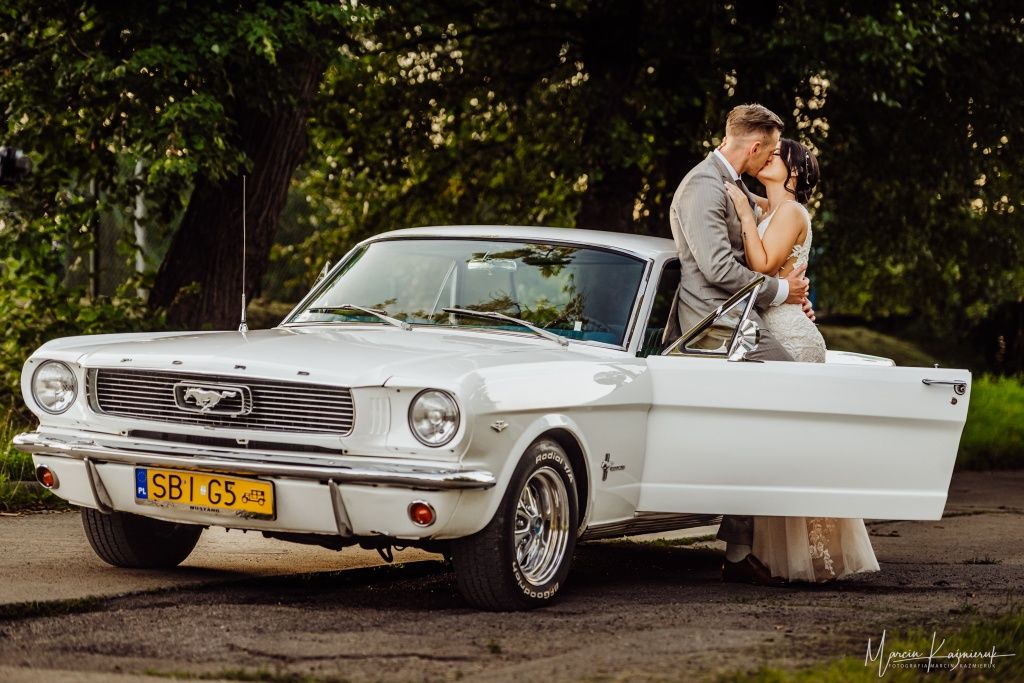 Klasyczny zabytkowy Ford Mustang 1966 V8 na wesele, ślub, uroczystości