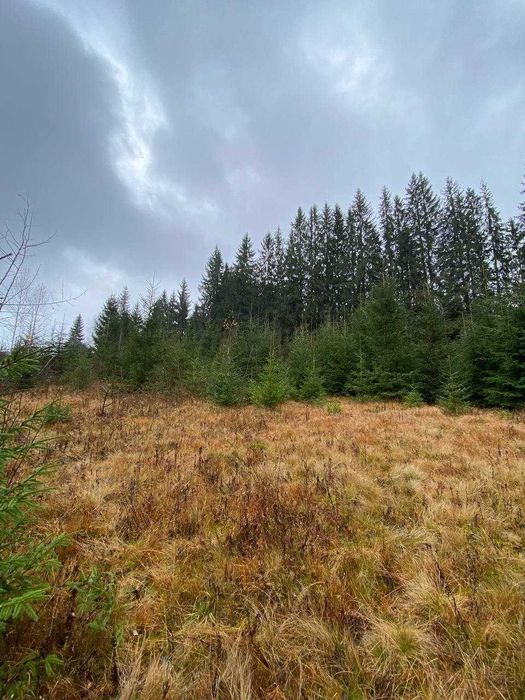 Продаж земельної ділянки в с.Яблуниця